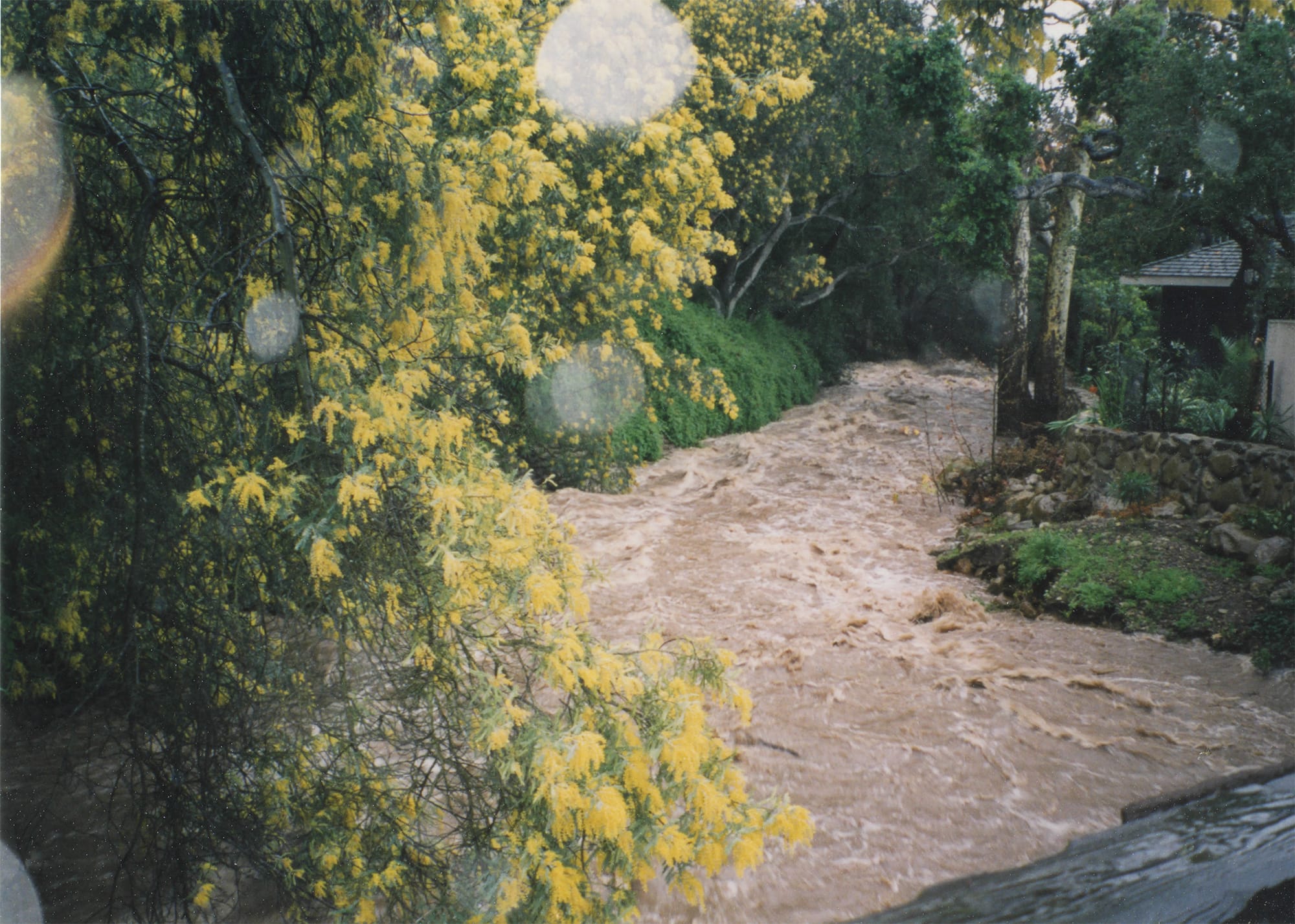 Floodwaters, 1998