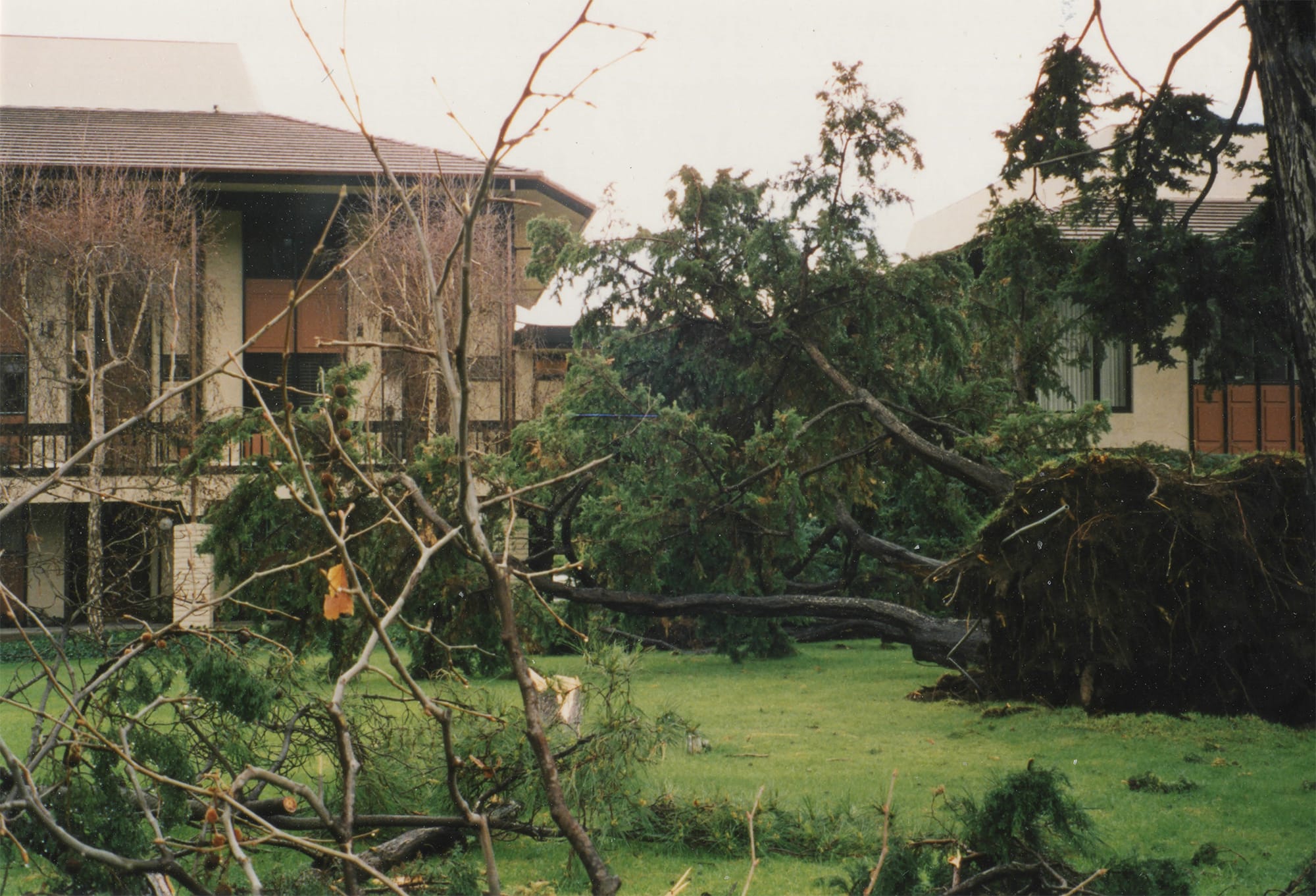 1998 Flood