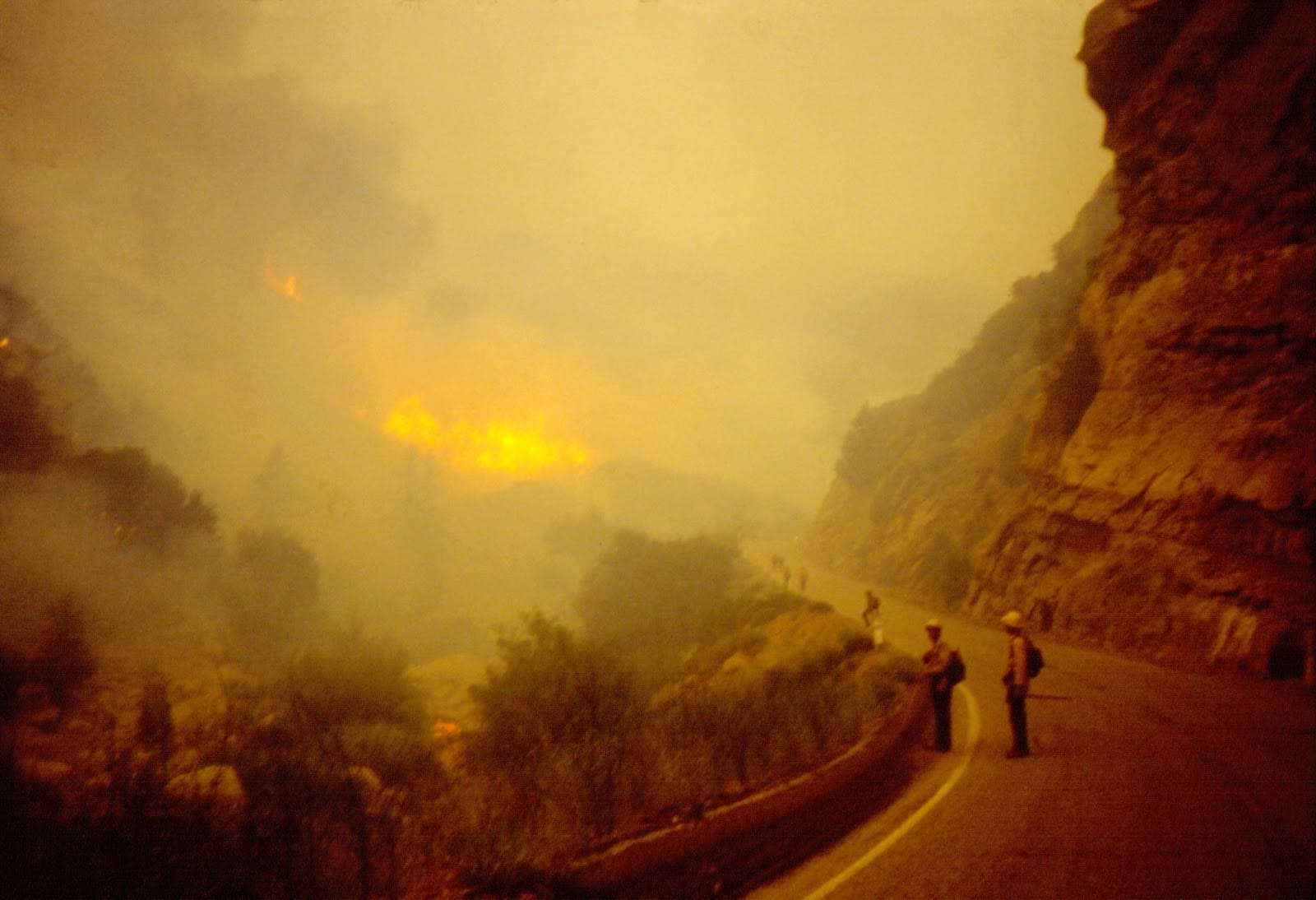 Wheeler Fire from Highway 33, 1985