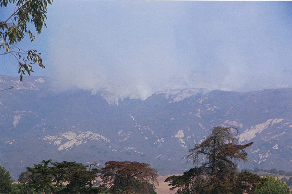 Gap Fire, 2008